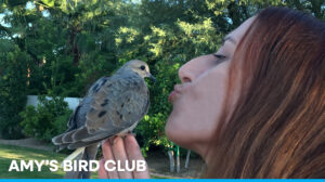 Amy's Bird Club Event - photo of bird on Amy's finger tips