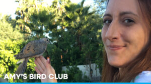 Amy's Bird Club - with a bird on her fingertips